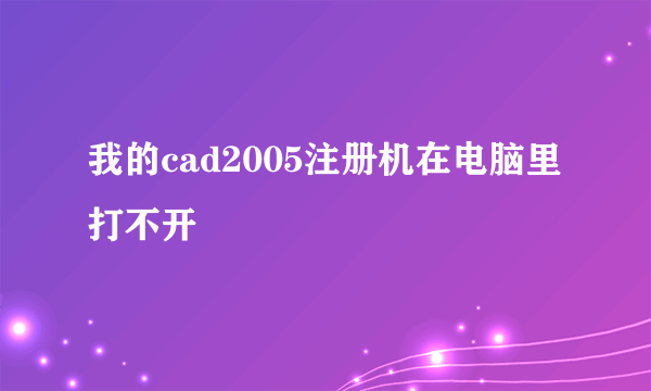 我的cad2005注册机在电脑里打不开
