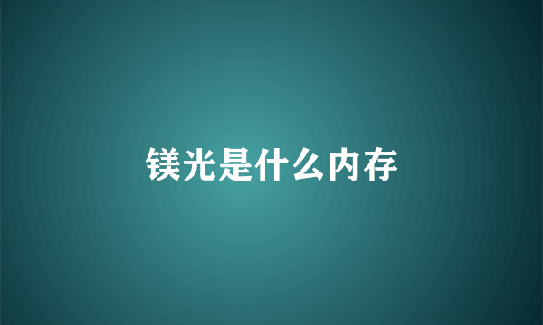 镁光是什么内存