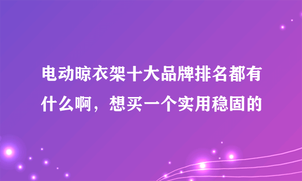 电动晾衣架十大品牌排名都有什么啊，想买一个实用稳固的