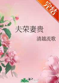 夫荣妻贵小说txt全集免费下载