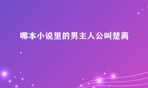 哪本小说里的男主人公叫楚离.