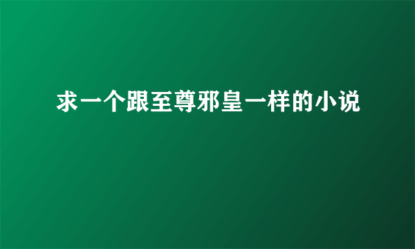 求一个跟至尊邪皇一样的小说