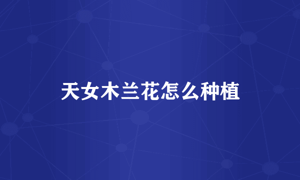 天女木兰花怎么种植