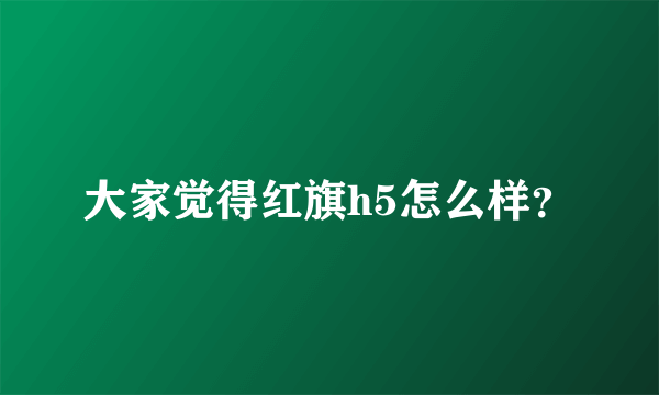 大家觉得红旗h5怎么样？