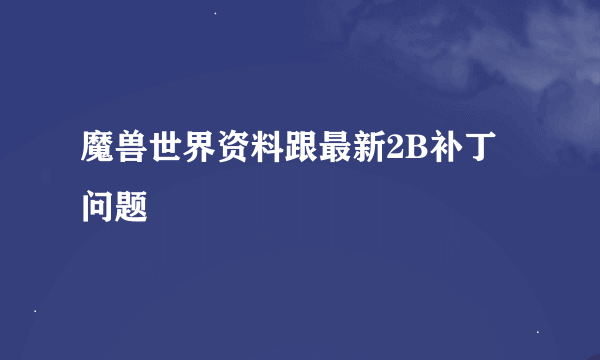 魔兽世界资料跟最新2B补丁问题