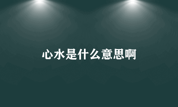 心水是什么意思啊
