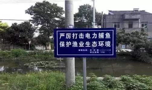 扶贫干部制止非法电鱼被刺身亡，事发时的具体细节是什么？
