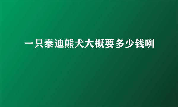 一只泰迪熊犬大概要多少钱咧