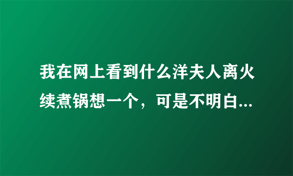 我在网上看到什么洋夫人离火续煮锅想一个，可是不明白是不是用那个锅煮东西，只要10分钟就可以了！