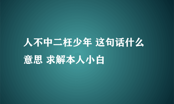 人不中二枉少年 这句话什么意思 求解本人小白