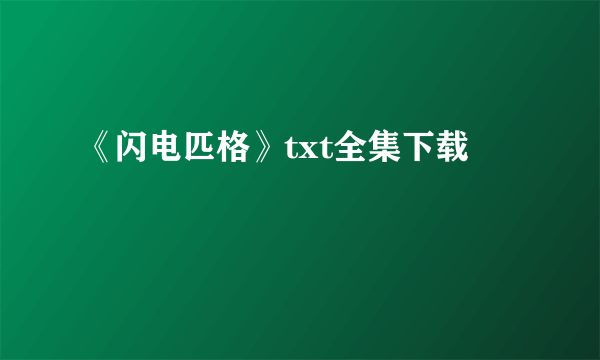 《闪电匹格》txt全集下载