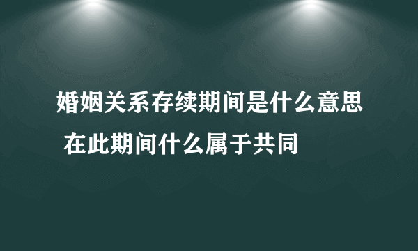 婚姻关系存续期间是什么意思 在此期间什么属于共同