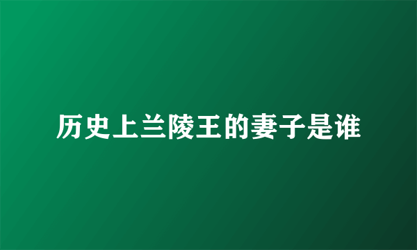 历史上兰陵王的妻子是谁