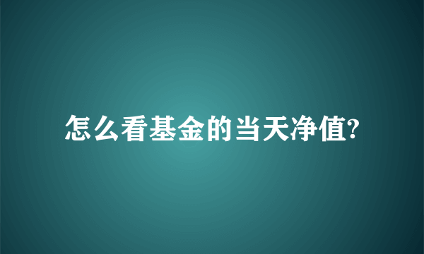 怎么看基金的当天净值?