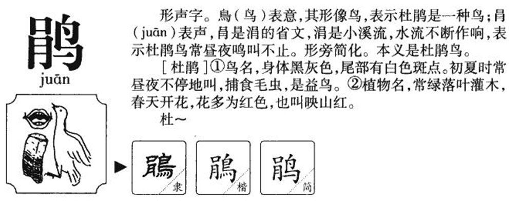鹃组词和拼音