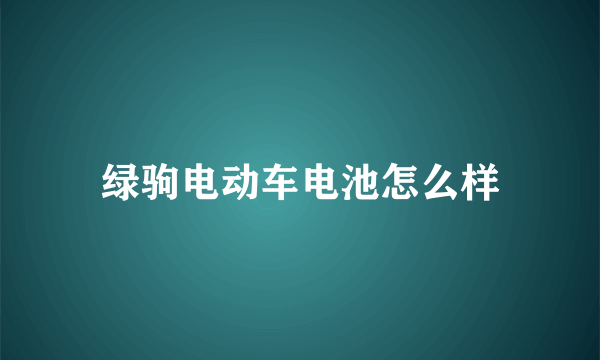 绿驹电动车电池怎么样