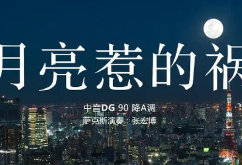 都是你的错和都是月亮惹的祸一样吗