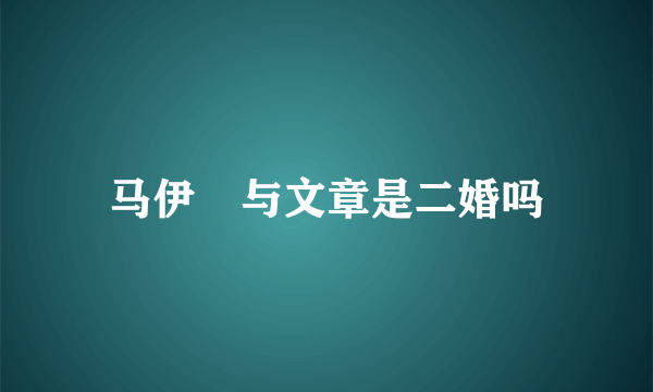 马伊琍与文章是二婚吗