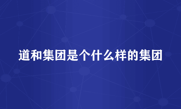 道和集团是个什么样的集团