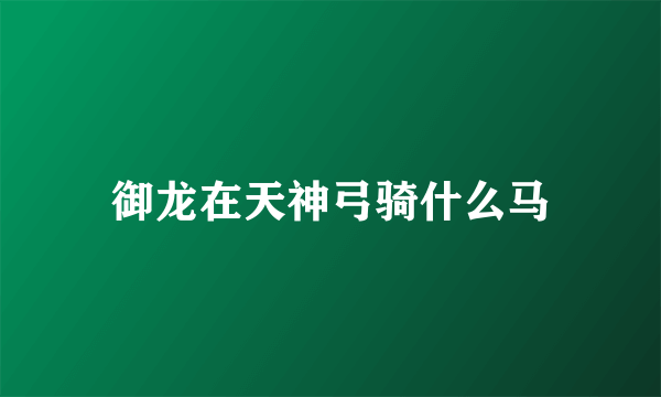 御龙在天神弓骑什么马