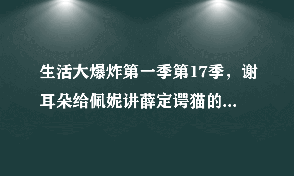 生活大爆炸第一季第17季，谢耳朵给佩妮讲薛定谔猫的理论是想向她表达什么意思？我看了百度百科关于