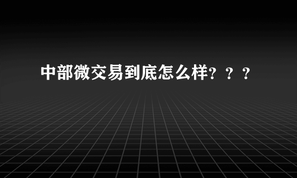 中部微交易到底怎么样？？？