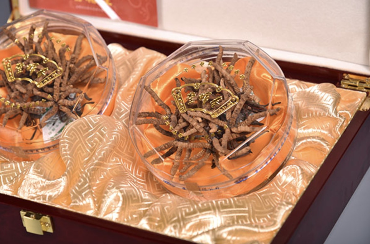 香港购物买什么最划算