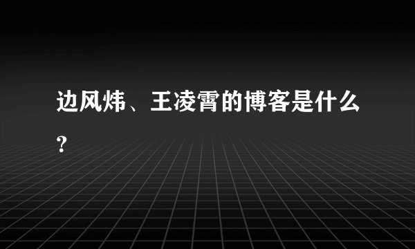 边风炜、王凌霄的博客是什么？