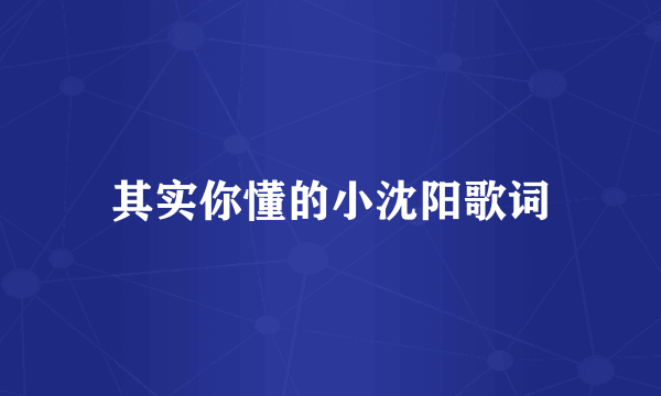 其实你懂的小沈阳歌词