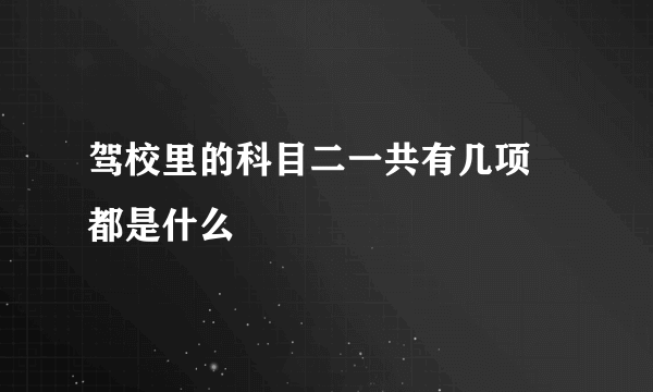 驾校里的科目二一共有几项 都是什么