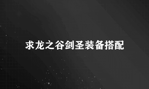 求龙之谷剑圣装备搭配