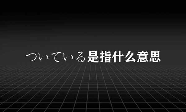 ついている是指什么意思