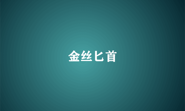 金丝匕首