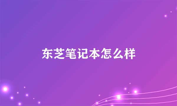 东芝笔记本怎么样