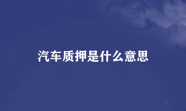 汽车质押是什么意思