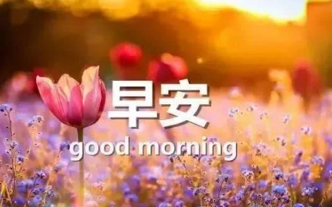 1心1意2什么 2什么一直到十全十美