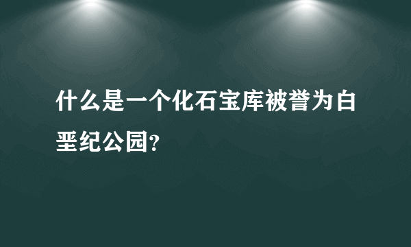 什么是一个化石宝库被誉为白垩纪公园？