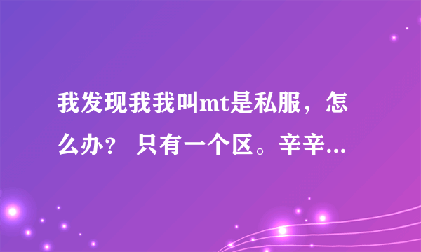 我发现我我叫mt是私服，怎么办？ 只有一个区。辛辛苦苦练级，我用快用下载的，那我现在该怎么办？
