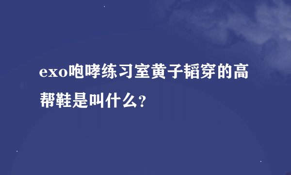 exo咆哮练习室黄子韬穿的高帮鞋是叫什么？