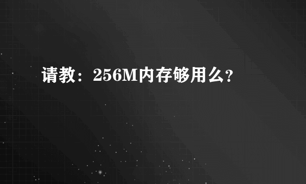 请教：256M内存够用么？