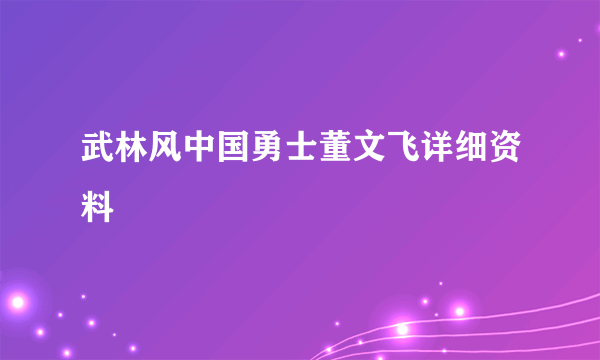 武林风中国勇士董文飞详细资料