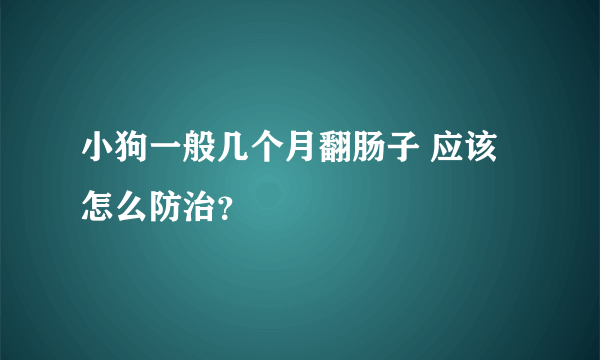 小狗一般几个月翻肠子 应该怎么防治？