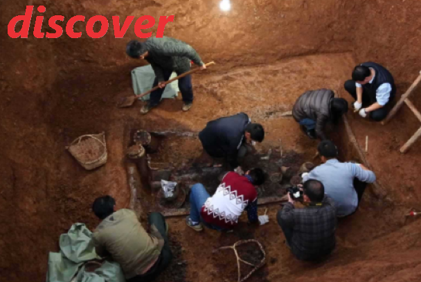 spot和discover和find有什么区别？