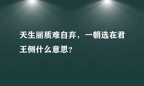 天生丽质难自弃，一朝选在君王侧什么意思？