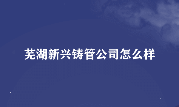 芜湖新兴铸管公司怎么样