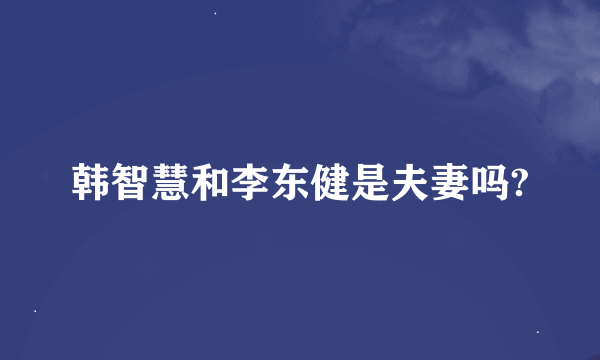 韩智慧和李东健是夫妻吗?