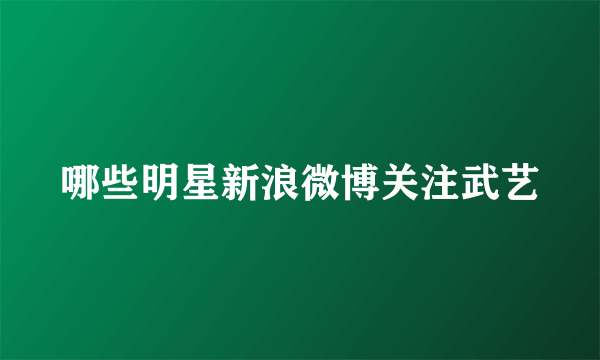 哪些明星新浪微博关注武艺