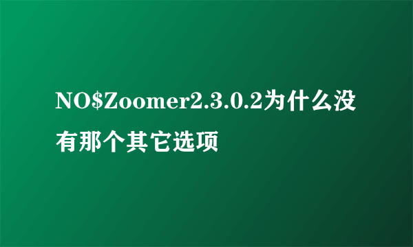 NO$Zoomer2.3.0.2为什么没有那个其它选项