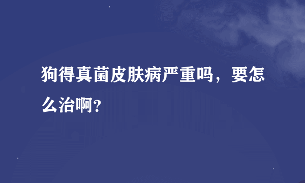 狗得真菌皮肤病严重吗，要怎么治啊？