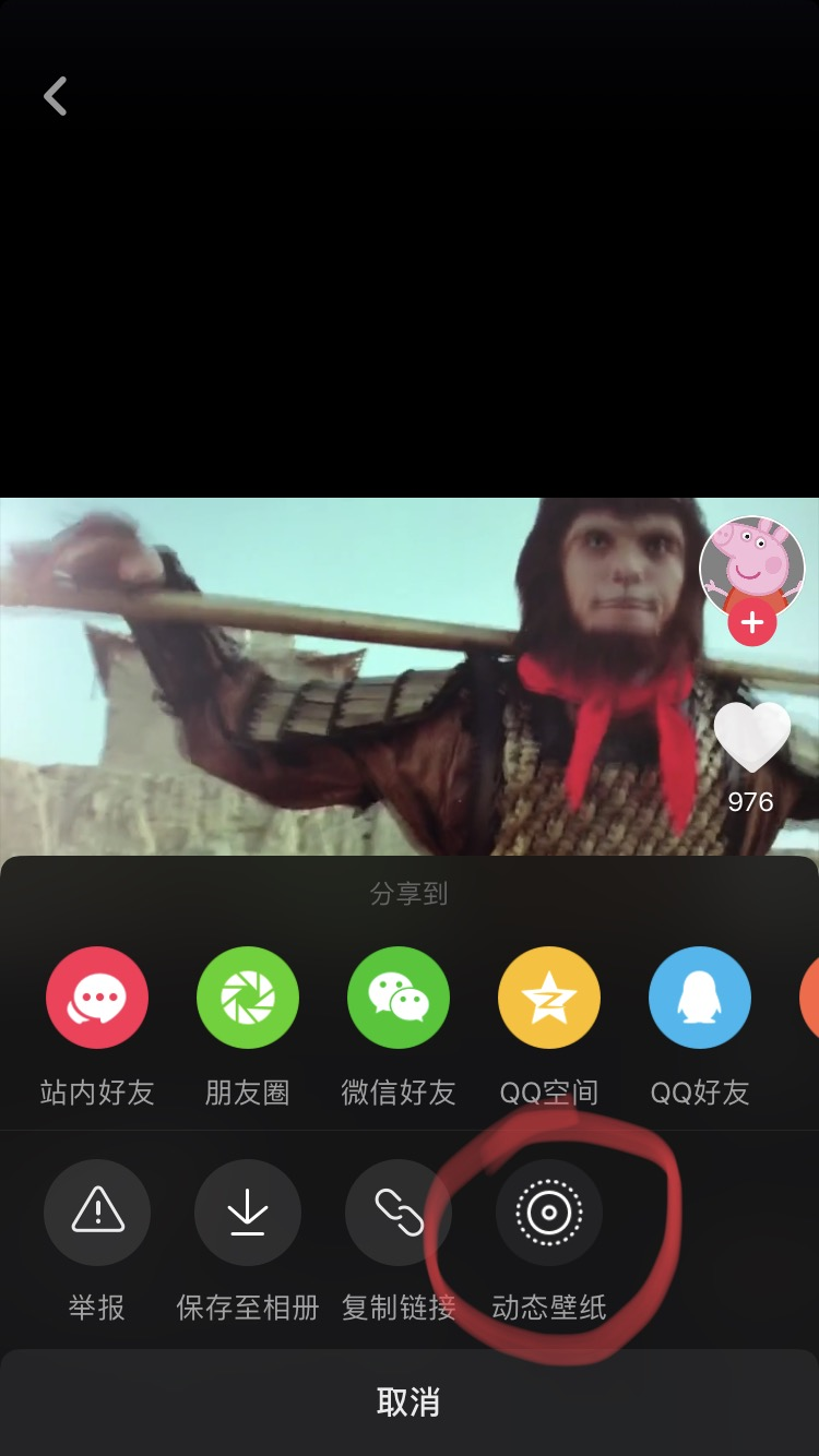 请问，iphoneX大话西游动态壁纸是怎么弄得，到哪里可以找到资源